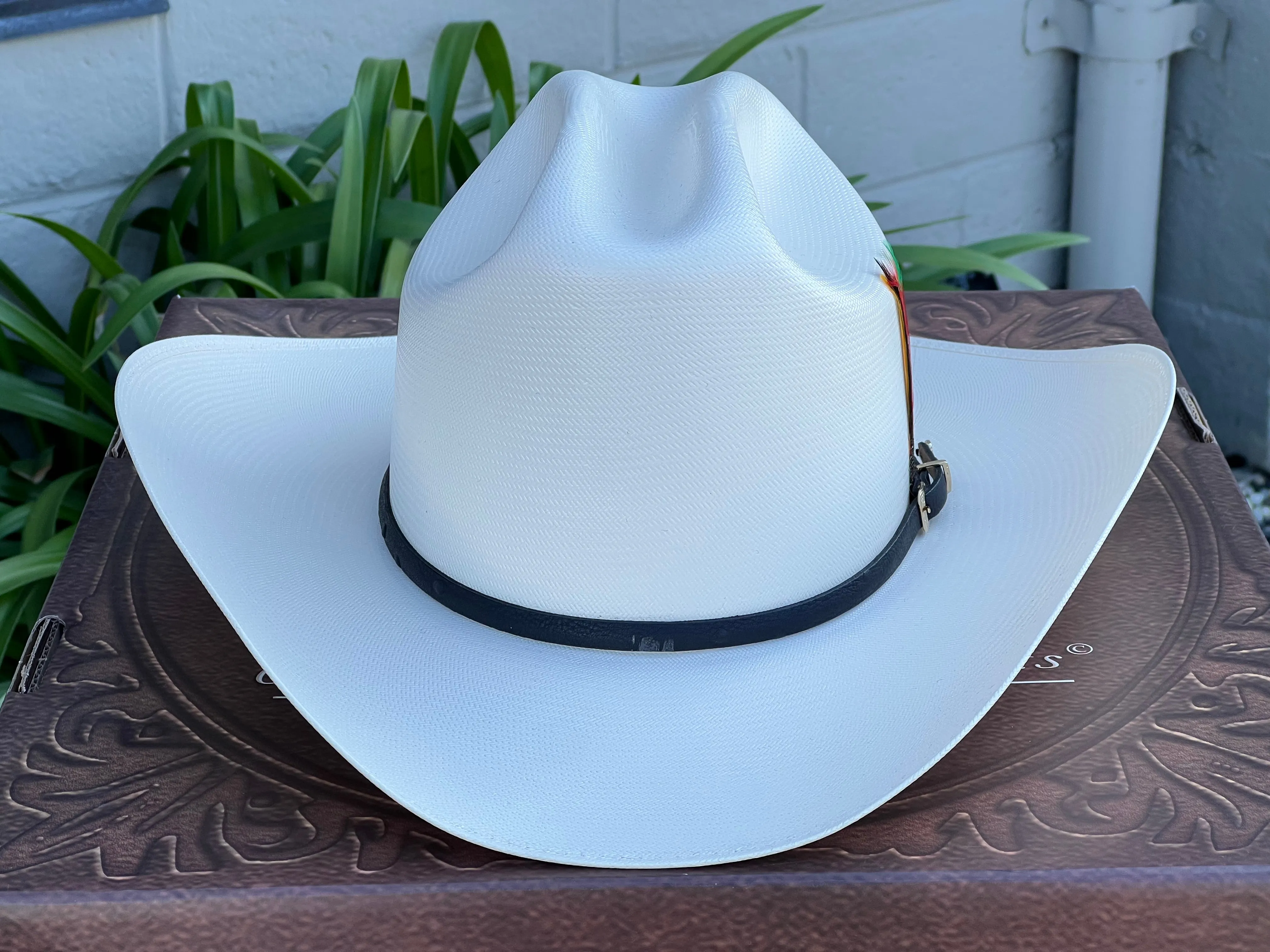 10,000x Sombrero Copa Chica 4.5" Falda 4" Horma Sinaloa (Toquilla Avestruz Negra)