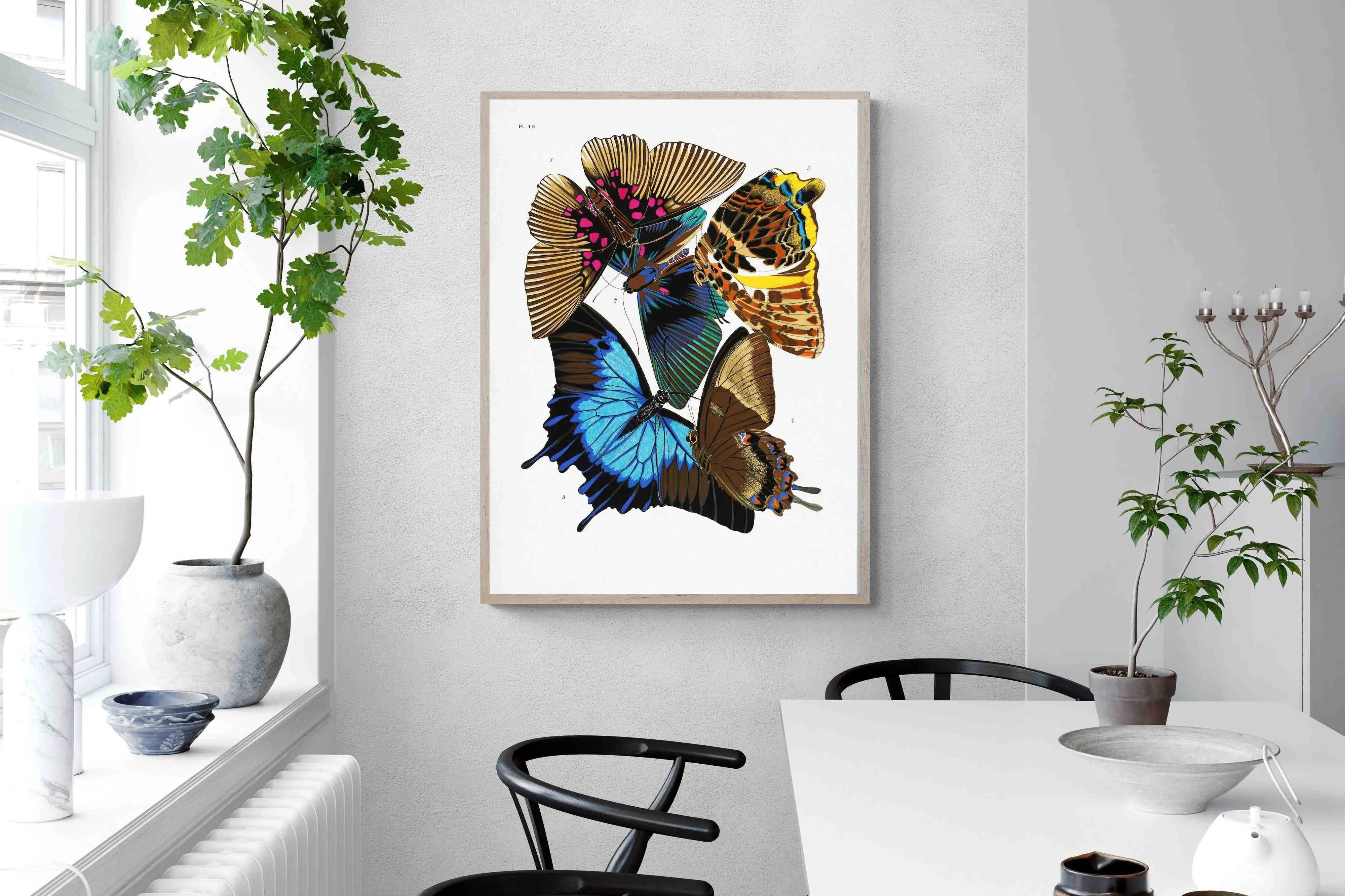 Butterfly Collage #2