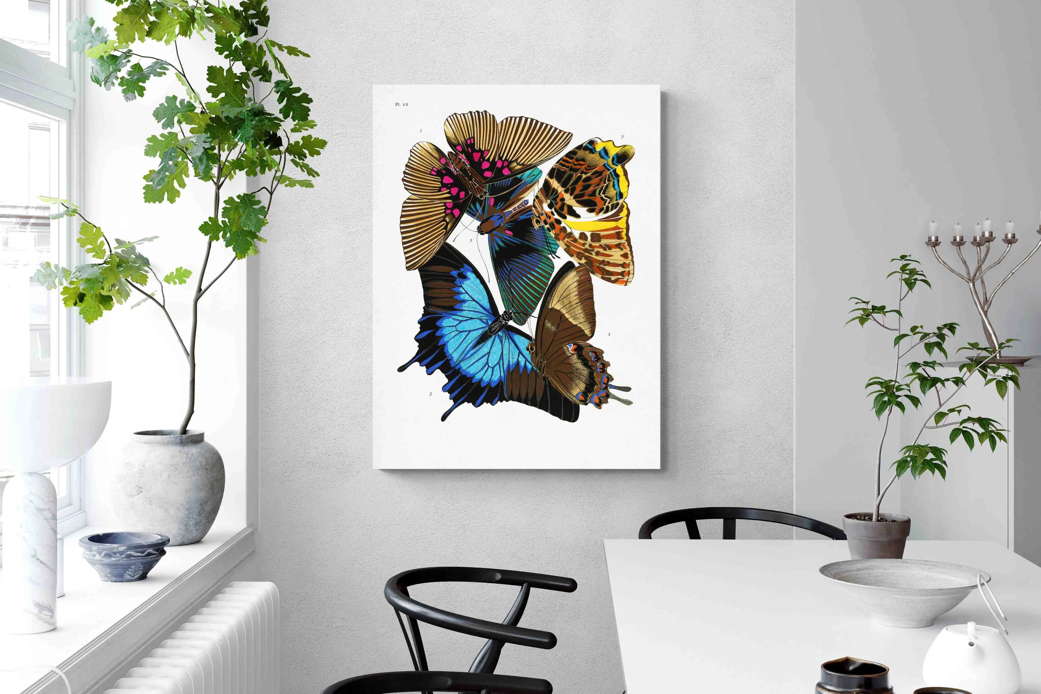 Butterfly Collage #2