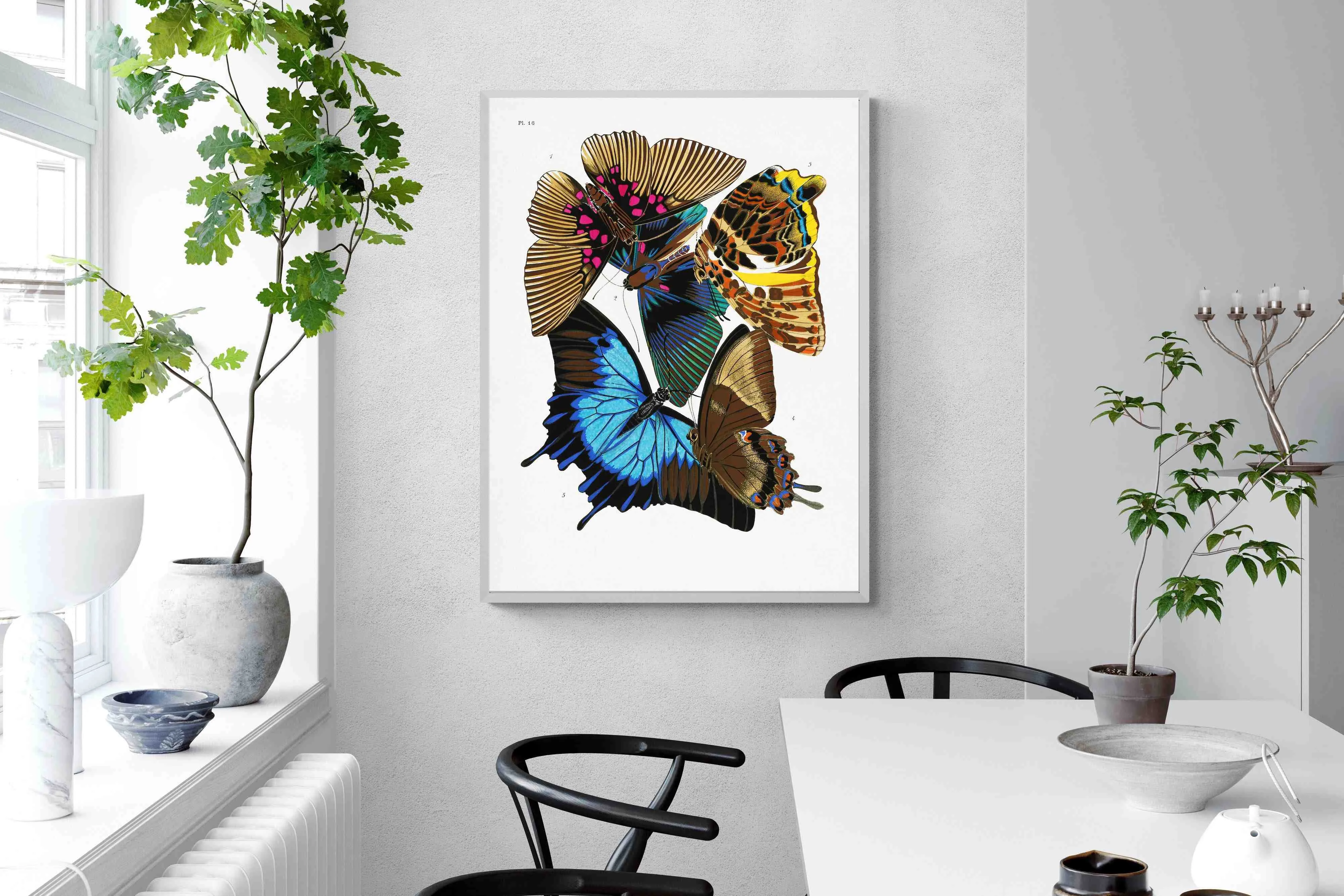 Butterfly Collage #2