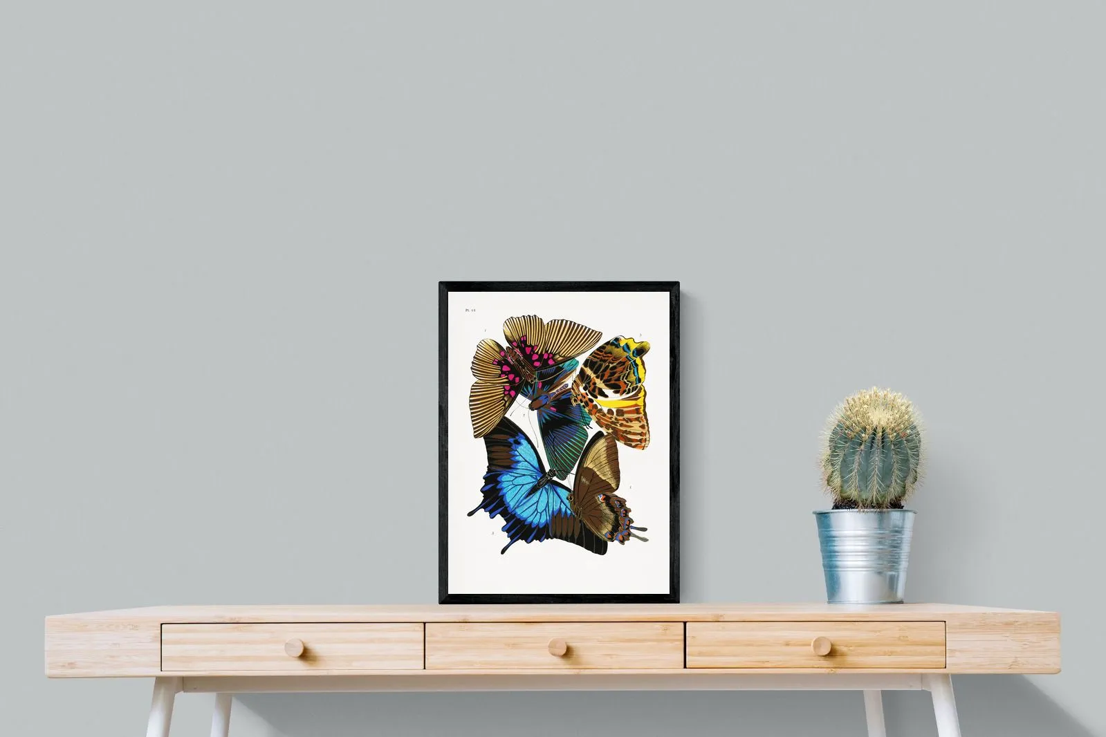 Butterfly Collage #2