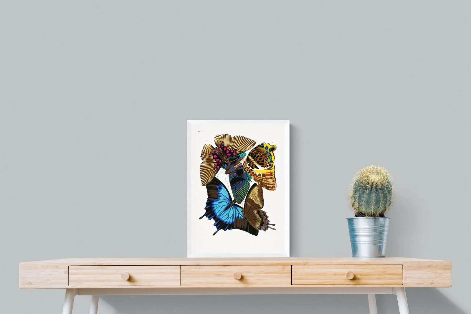 Butterfly Collage #2