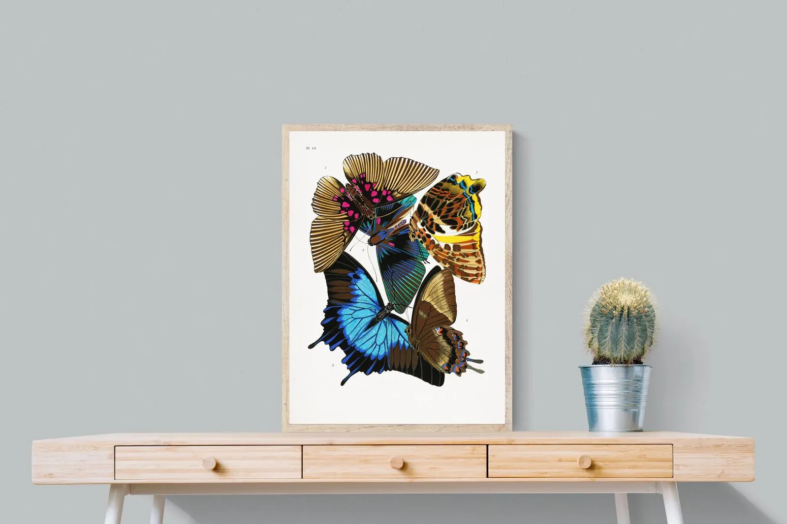 Butterfly Collage #2