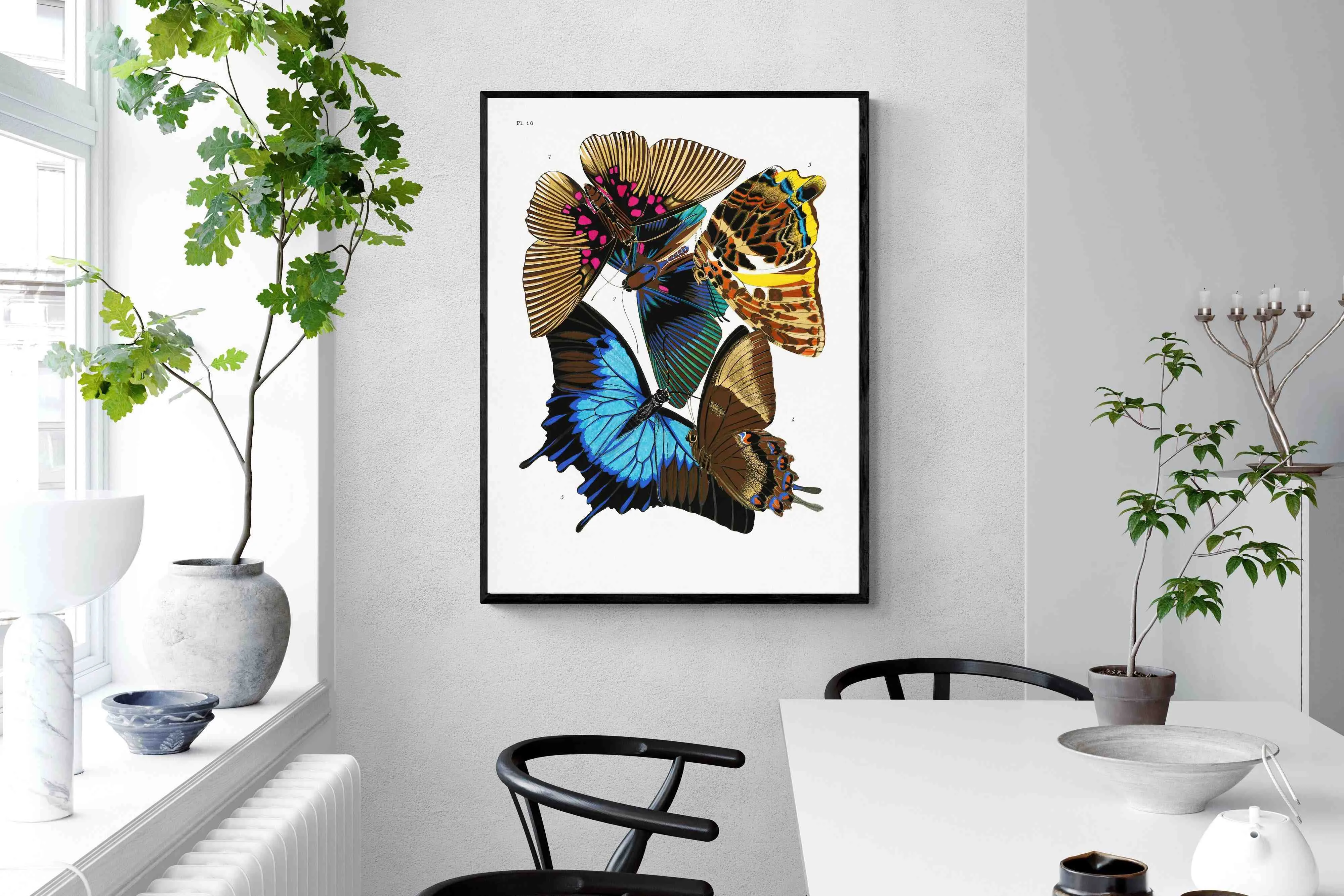 Butterfly Collage #2