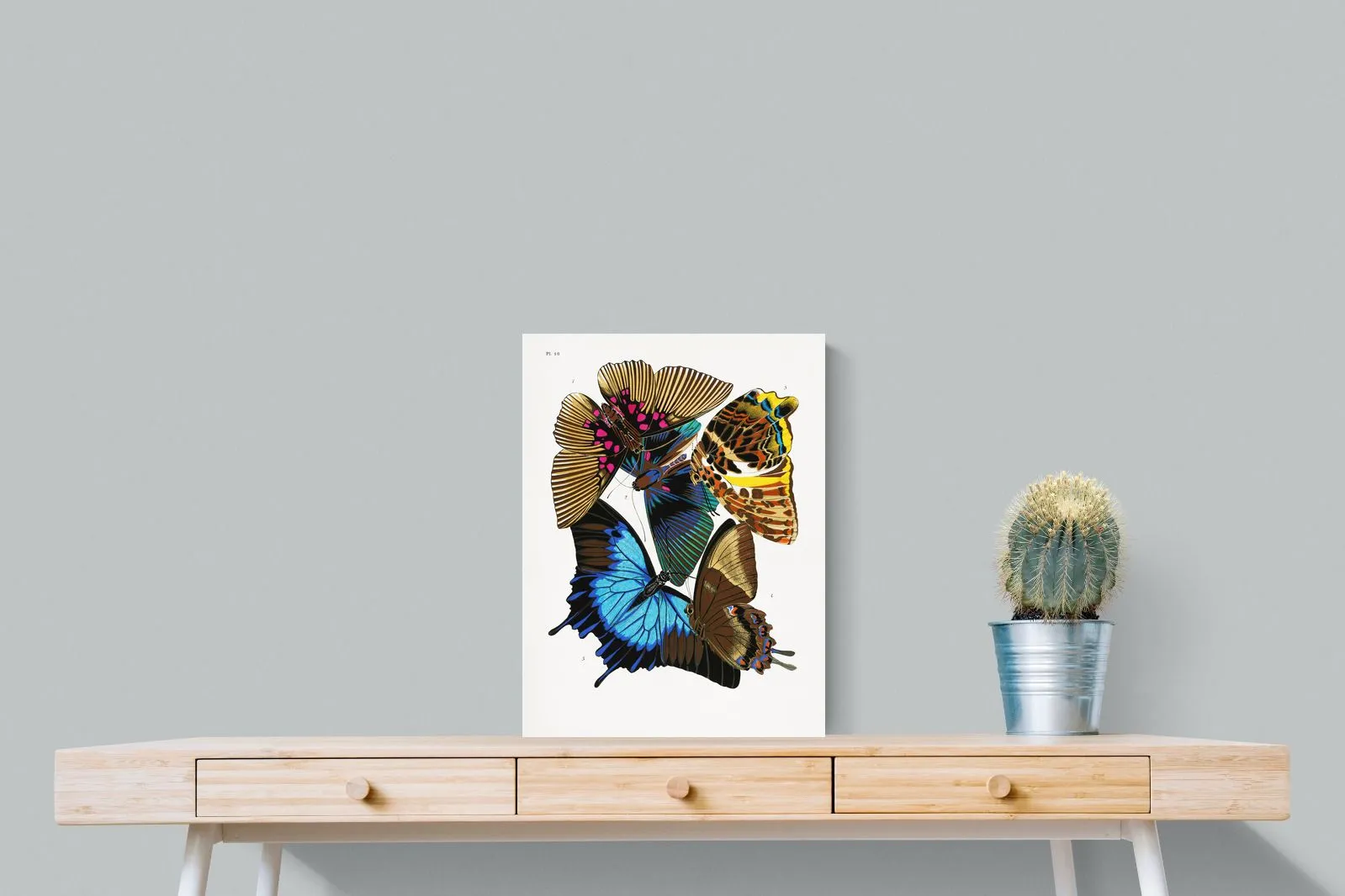 Butterfly Collage #2