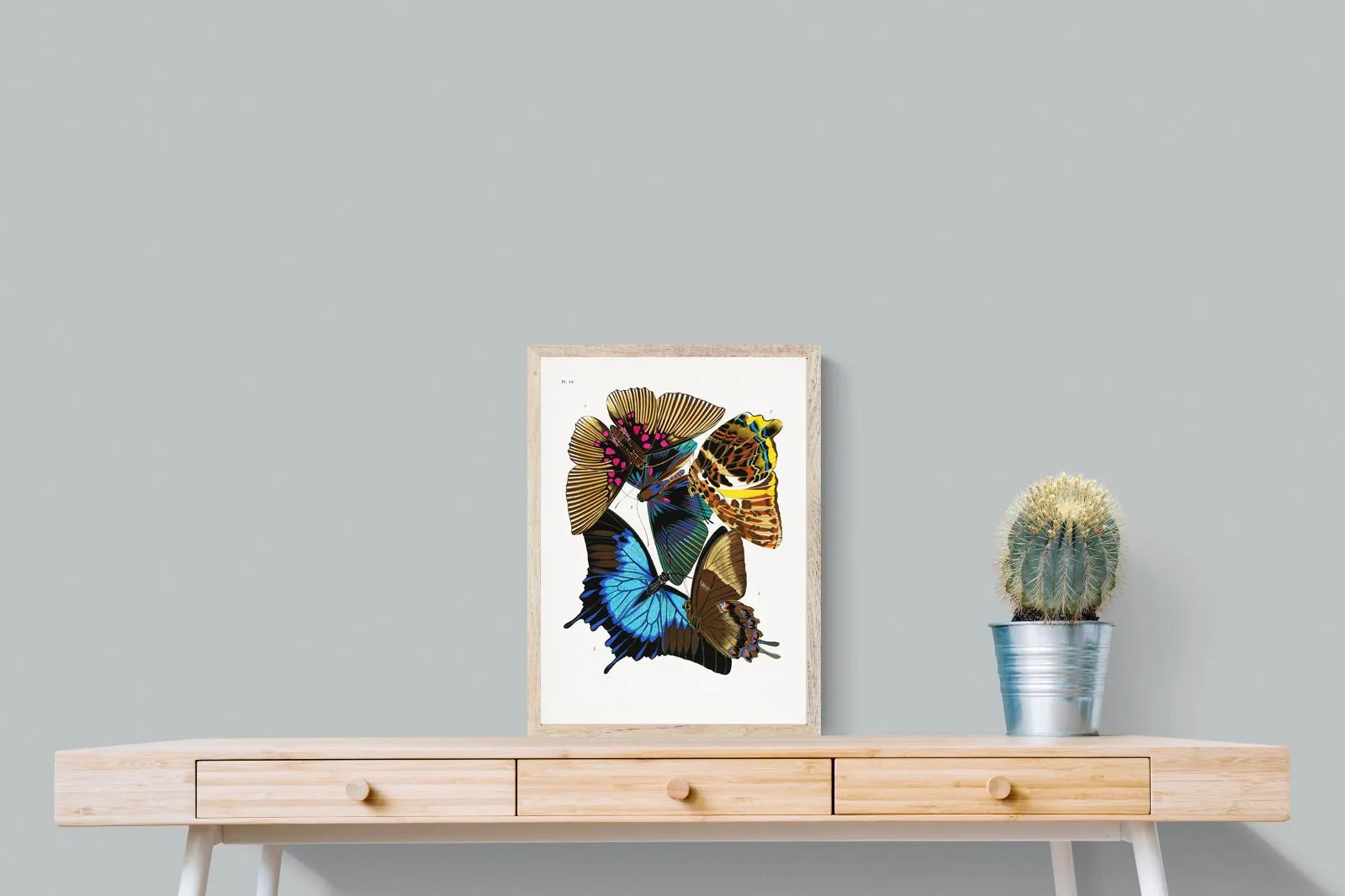 Butterfly Collage #2