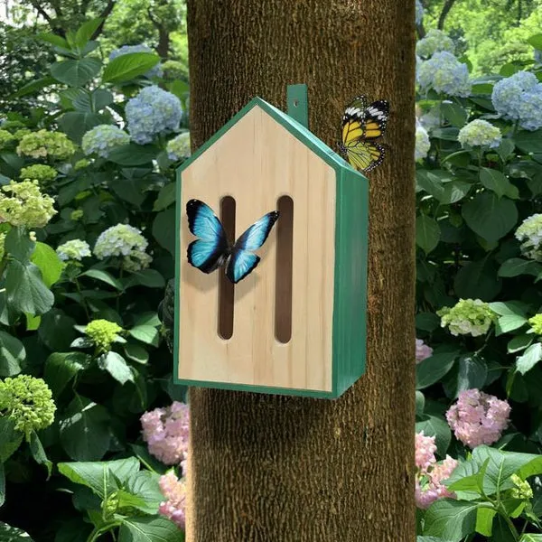 Kikkerland - Butterfly House