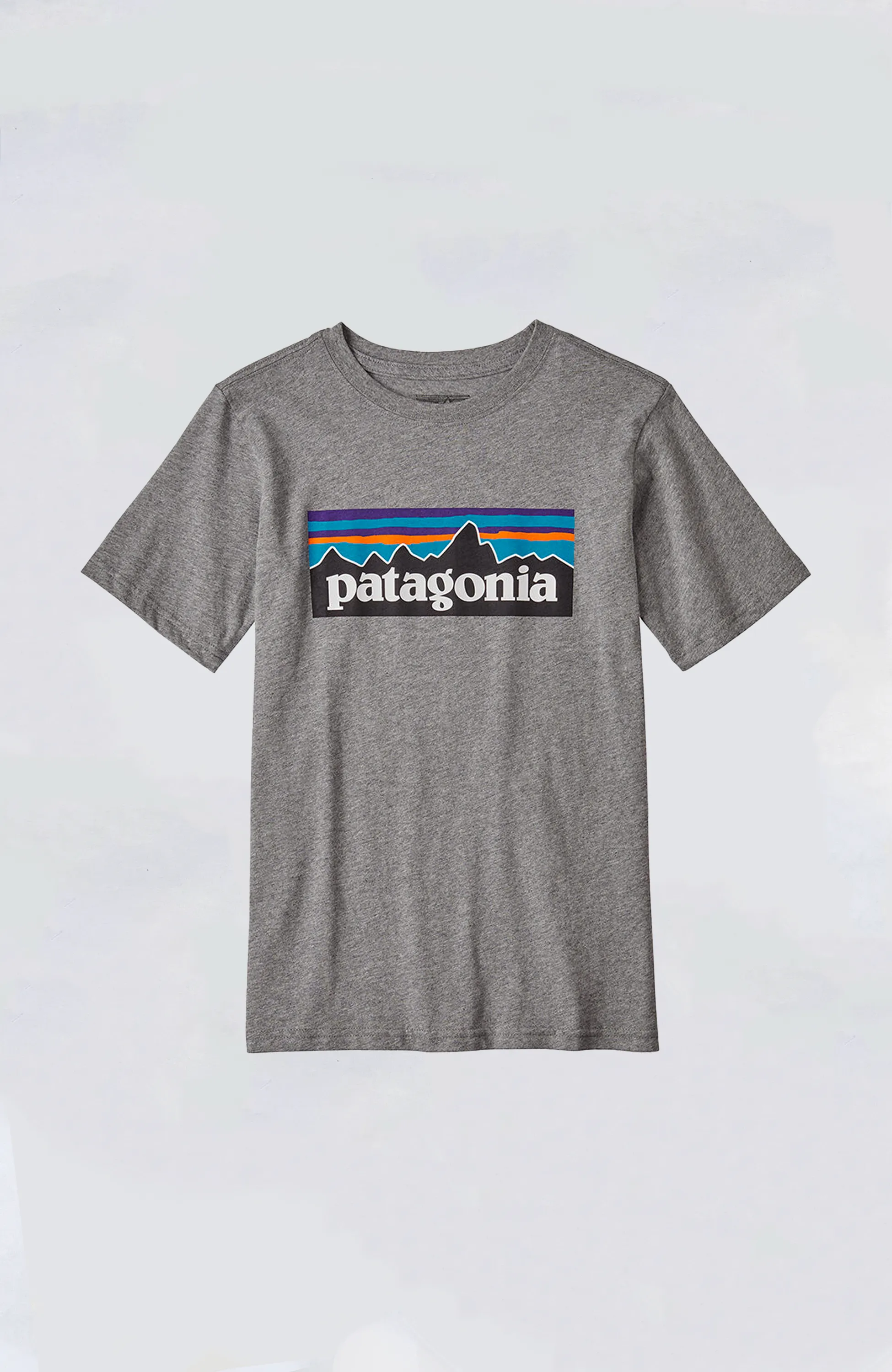 Patagonia - Kids' P-6 Logo Organic Tee