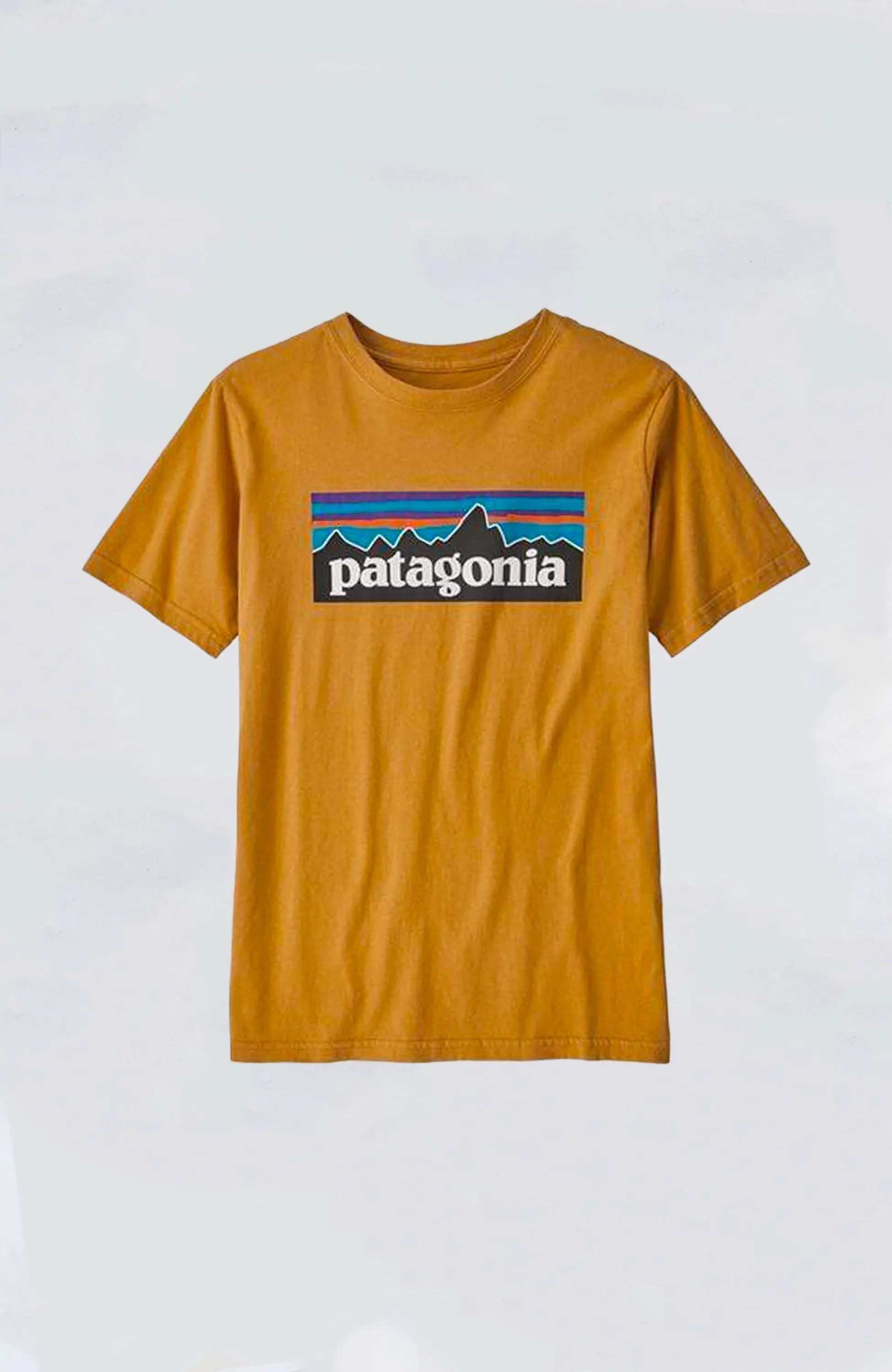 Patagonia - Kids' P-6 Logo Organic Tee