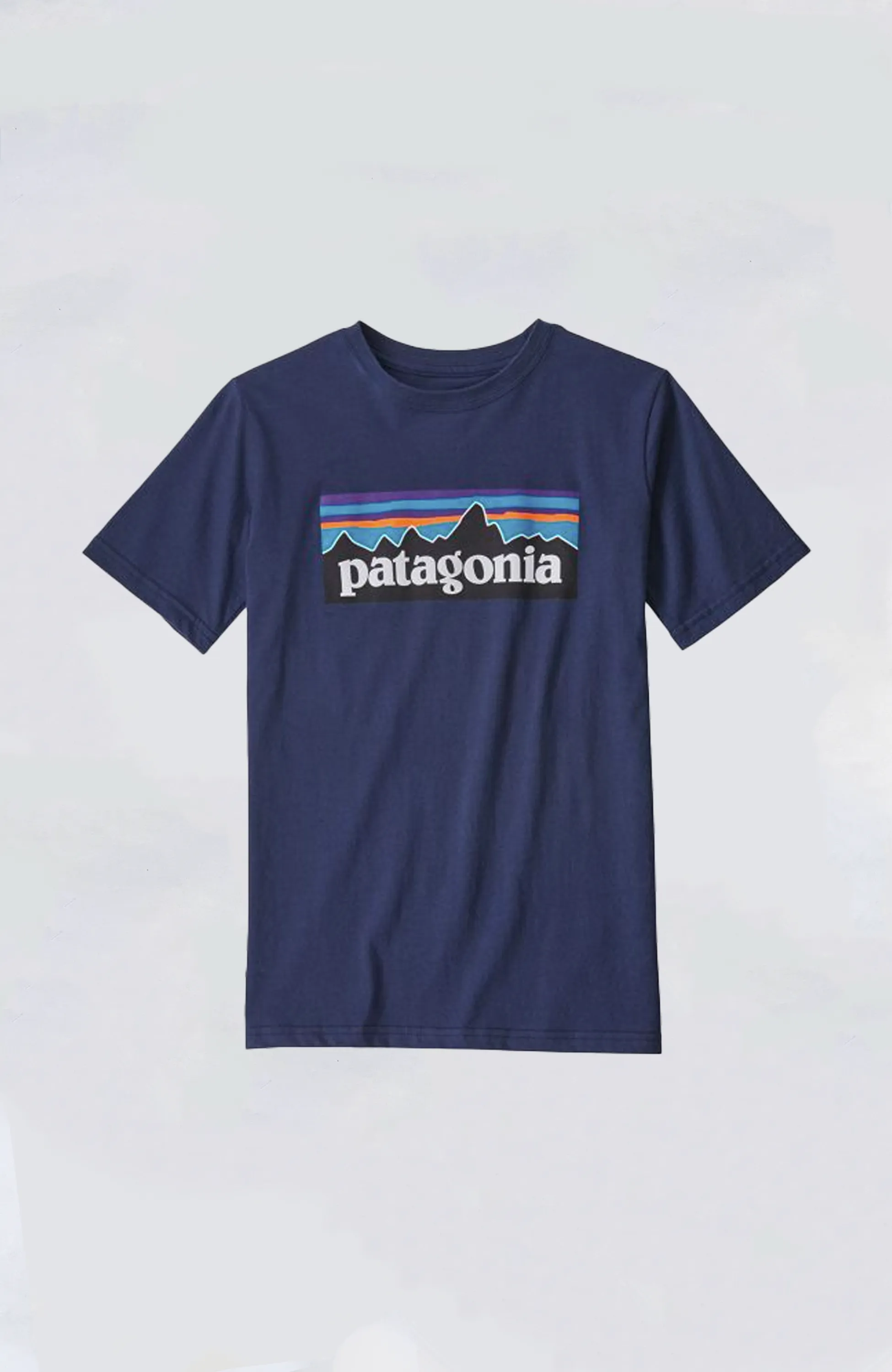 Patagonia - Kids' P-6 Logo Organic Tee