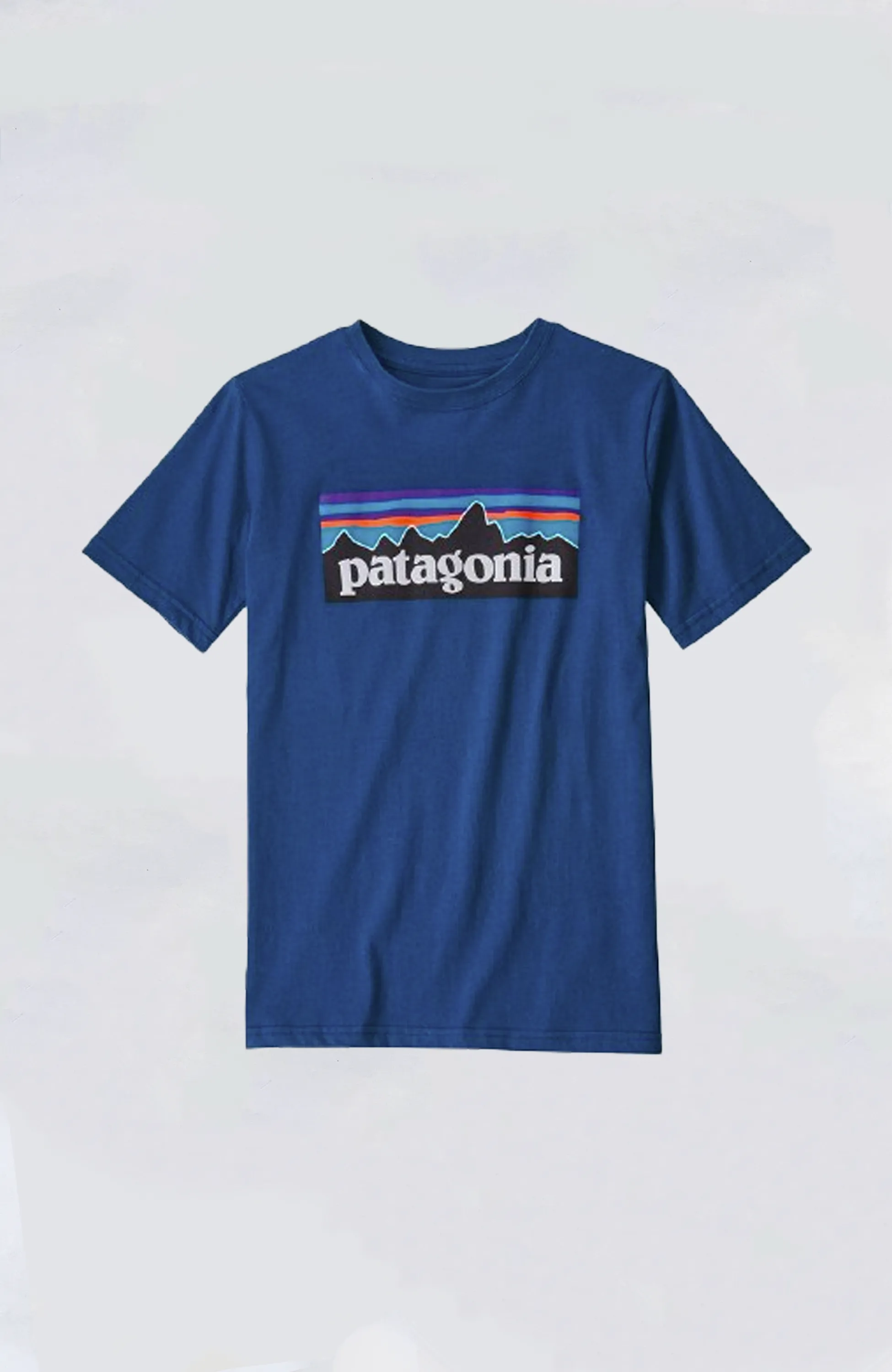 Patagonia - Kids' P-6 Logo Organic Tee