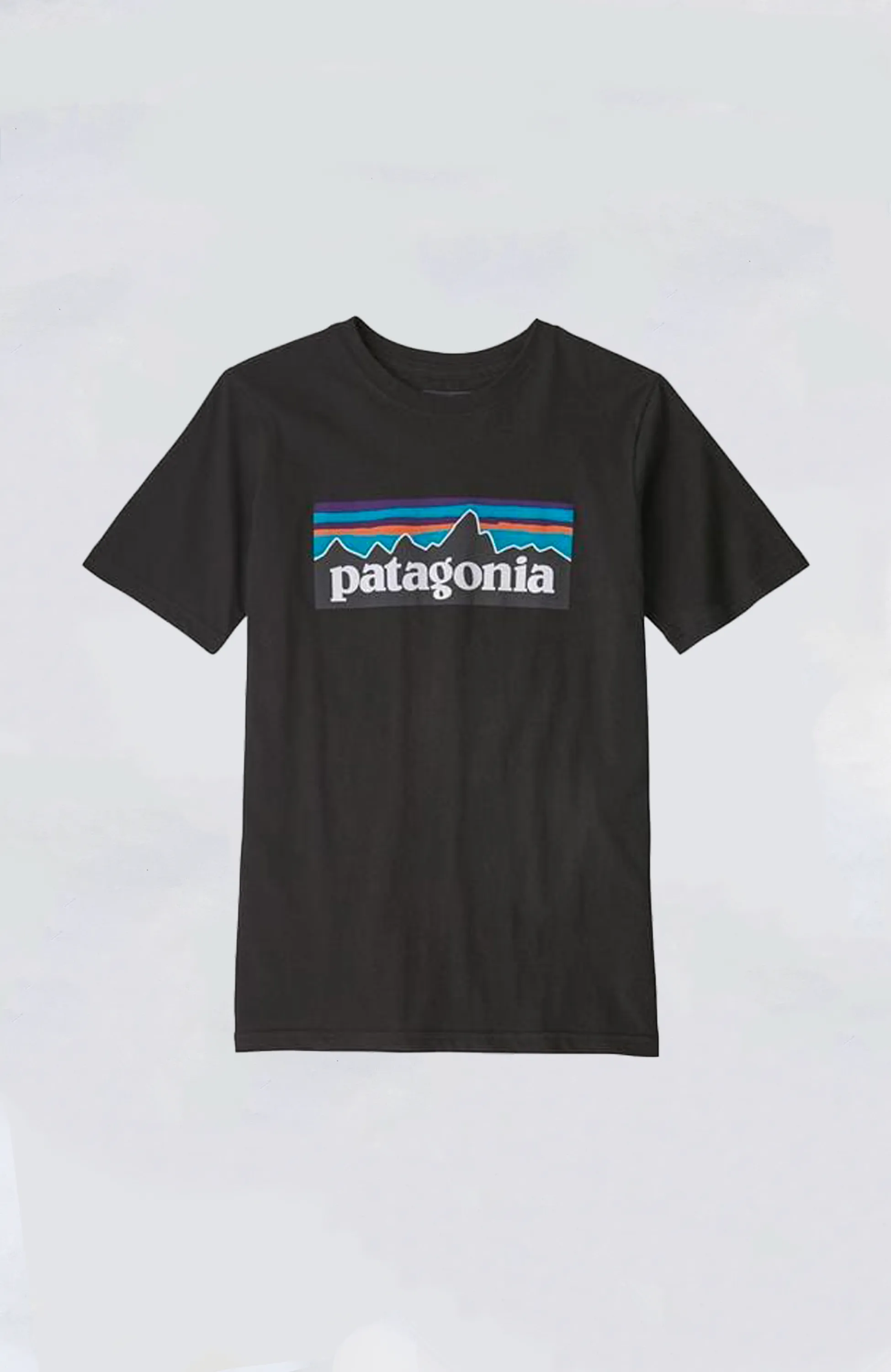 Patagonia - Kids' P-6 Logo Organic Tee