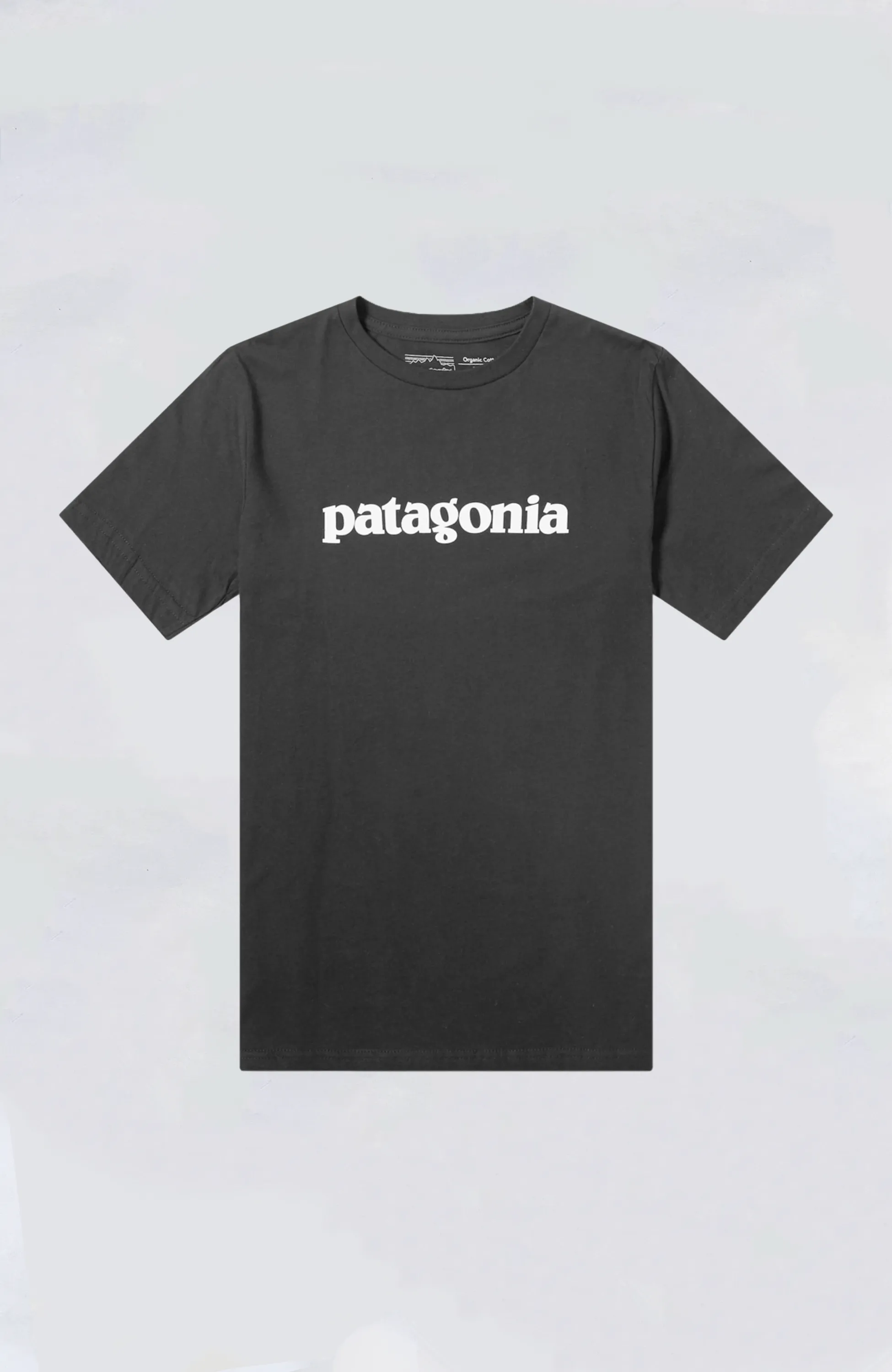 Patagonia - Text Logo Organic Tee